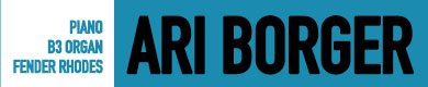 Ari Borger